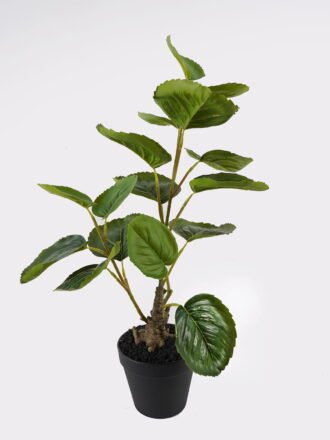 Artificial Table Plants 35*23*52cm Pachira macrocarpa  in PP pot GS-46725047 2025JUL 3,000+ sqm showroom with thousands of artificial flowers, plants & trees ready for global sourcing.
