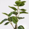 Artificial Table Plants 35*23*52cm Leaf  in PP pot GS-46725046 2025JUL YeahFlower is one of Chinese leading OEM manufacturers and exporters , supplying the silk flowers, wholesale artificial trees