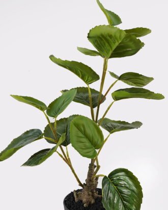 Artificial Table Plants 35*23*52cm Leaf in PP pot GS-46725046 2025JUL YeahFlower is one of Chinese leading OEM manufacturers and exporters , supplying the silk flowers, wholesale artificial trees Artificial Table Plants 35*23*52cm Leaf in PP pot GS-46725046 2025JUL YeahFlower is one of Chinese leading OEM manufacturers and exporters , supplying the silk flowers, wholesale artificial trees