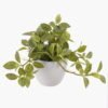 Artificial Table Plants 25*25*18cm Leaves *39 in pp pot GS-70125001 2025SEP YeahFlower is one of Chinese leading OEM manufacturers and exporters , supplying the silk flowers, wholesale artificial trees