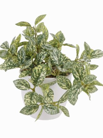 Artificial Table Plants 25*25*18cm Leaves *39 in pp pot GS-70125003 2025SEP 3,000+ sqm showroom with thousands of artificial flowers, plants & trees ready for global sourcing.