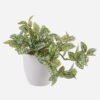 Artificial Table Plants 25*25*18cm Leaves *39 in pp pot GS-70125002 2025SEP YeahFlower is one of Chinese leading OEM manufacturers and exporters , supplying the silk flowers, wholesale artificial trees