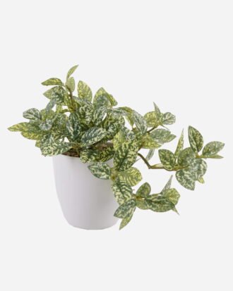 Artificial Table Plants 25*25*18cm Leaves *39 in pp pot GS-70125002 2025SEP YeahFlower is one of Chinese leading OEM manufacturers and exporters , supplying the silk flowers, wholesale artificial trees Artificial Table Plants 25*25*18cm Leaves *39 in pp pot GS-70125002 2025SEP YeahFlower is one of Chinese leading OEM manufacturers and exporters , supplying the silk flowers, wholesale artificial trees
