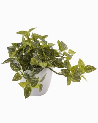 Artificial Table Plants 25*25*18cm Leaves *39 in pp pot GS-70125003 2025SEP YeahFlower is one of Chinese leading OEM manufacturers and exporters , supplying the silk flowers, wholesale artificial trees Artificial Table Plants 25*25*18cm Leaves *39 in pp pot GS-70125003 2025SEP YeahFlower is one of Chinese leading OEM manufacturers and exporters , supplying the silk flowers, wholesale artificial trees