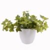 Artificial Table Plants 25*25*18cm Leaves *39 in pp pot GS-70125004 2025SEP YeahFlower is one of Chinese leading OEM manufacturers and exporters , supplying the silk flowers, wholesale artificial trees
