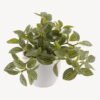 Artificial Table Plants 25*25*18cm Leaves *39 in pp pot GS-70125005 2025SEP YeahFlower is one of Chinese leading OEM manufacturers and exporters , supplying the silk flowers, wholesale artificial trees