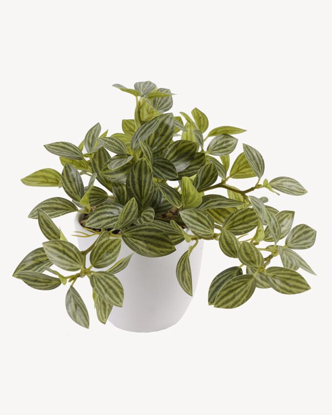 Artificial Table Plants 25*25*18cm Leaves *39 in pp pot GS-70125005 2025SEP YeahFlower is one of Chinese leading OEM manufacturers and exporters , supplying the silk flowers, wholesale artificial trees