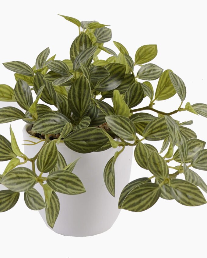 Artificial Table Plants 25*25*18cm Leaves *39 in pp pot GS-70125005 2025SEP YeahFlower is one of Chinese leading OEM manufacturers and exporters , supplying the silk flowers, wholesale artificial trees