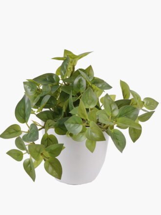 Artificial Table Plants 25*25*18cm Leaves *39 in pp pot GS-70125005 2025SEP 3,000+ sqm showroom with thousands of artificial flowers, plants & trees ready for global sourcing.