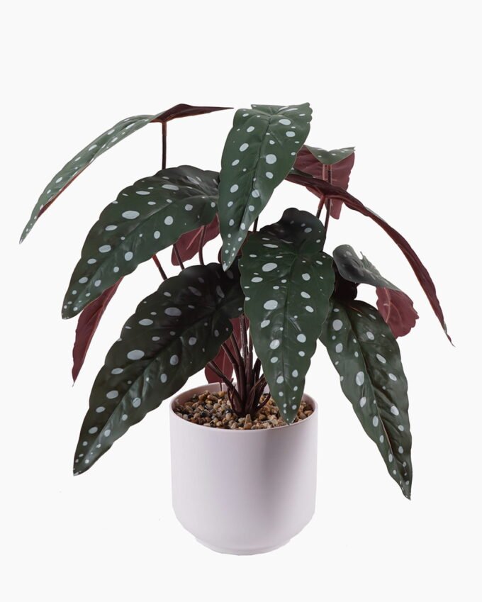 Artificial Table Plants 30*30*42cm Maranta in pp pot GS-70125007 2025SEP YeahFlower is one of Chinese leading OEM manufacturers and exporters , supplying the silk flowers, wholesale artificial trees
