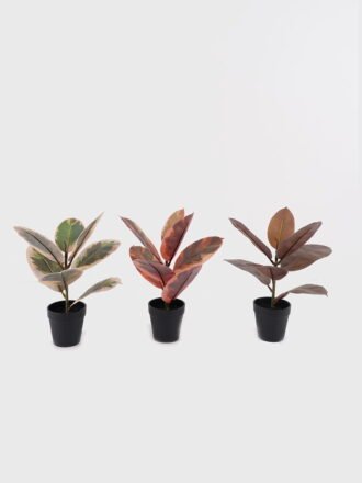 Artificial Flower 13*13*52cm Leaf  bush/6 lvs GS-72725007-Z1 2025SEP 3,000+ sqm showroom with thousands of artificial flowers, plants & trees ready for global sourcing.