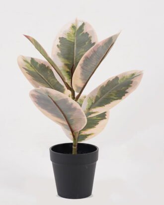 Artificial Table Plants 22*22*35cm Mini rubber tree in PP Pot/7 lvs GS-72825001 2025SEP YeahFlower is one of Chinese leading OEM manufacturers and exporters , supplying the silk flowers, wholesale artificial trees Artificial Table Plants 22*22*35cm Mini rubber tree in PP Pot/7 lvs GS-72825001 2025SEP YeahFlower is one of Chinese leading OEM manufacturers and exporters , supplying the silk flowers, wholesale artificial trees