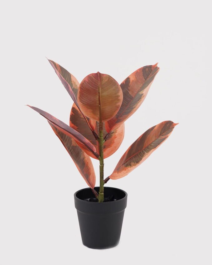 Artificial Table Plants 22*22*35cm Mini rubber tree in PP Pot/7 lvs GS-72825001 2025SEP YeahFlower is one of Chinese leading OEM manufacturers and exporters , supplying the silk flowers, wholesale artificial trees