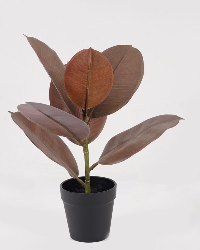 Artificial Table Plants 22*22*35cm Mini rubber tree in PP Pot/7 lvs GS-72825001 2025SEP YeahFlower is one of Chinese leading OEM manufacturers and exporters , supplying the silk flowers, wholesale artificial trees