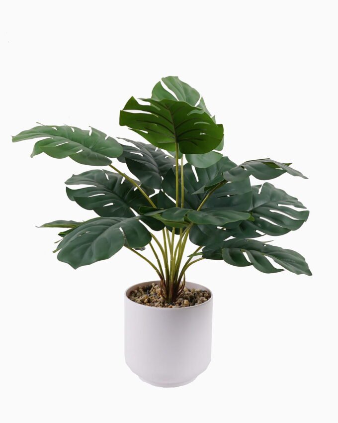Artificial Table Plants 27*27*42cm Monstera deliciosa in pp pot GS-70125009 2025SEP YeahFlower is one of Chinese leading OEM manufacturers and exporters , supplying the silk flowers, wholesale artificial trees
