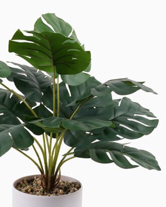 Artificial Table Plants 27*27*42cm Monstera deliciosa in pp pot GS-70125009 2025SEP YeahFlower is one of Chinese leading OEM manufacturers and exporters , supplying the silk flowers, wholesale artificial trees Artificial Table Plants 27*27*42cm Monstera deliciosa in pp pot GS-70125009 2025SEP YeahFlower is one of Chinese leading OEM manufacturers and exporters , supplying the silk flowers, wholesale artificial trees