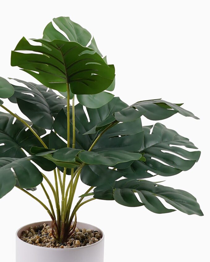 Artificial Table Plants 27*27*42cm Monstera deliciosa in pp pot GS-70125009 2025SEP YeahFlower is one of Chinese leading OEM manufacturers and exporters , supplying the silk flowers, wholesale artificial trees