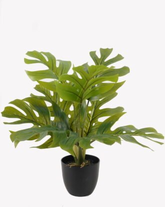 Artificial Table Plants 34*34*39cm Monstera in PP pot/9 lvs GS-73225003 2025SEP YeahFlower is one of Chinese leading OEM manufacturers and exporters , supplying the silk flowers, wholesale artificial trees Artificial Table Plants 34*34*39cm Monstera in PP pot/9 lvs GS-73225003 2025SEP YeahFlower is one of Chinese leading OEM manufacturers and exporters , supplying the silk flowers, wholesale artificial trees