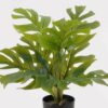 Artificial Table Plants 34*34*39cm Monstera in PP pot/9 lvs GS-73225003 2025SEP YeahFlower is one of Chinese leading OEM manufacturers and exporters , supplying the silk flowers, wholesale artificial trees
