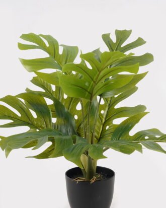 Artificial Table Plants 34*34*39cm Monstera in PP pot/9 lvs GS-73225003 2025SEP YeahFlower is one of Chinese leading OEM manufacturers and exporters , supplying the silk flowers, wholesale artificial trees Artificial Table Plants 34*34*39cm Monstera in PP pot/9 lvs GS-73225003 2025SEP YeahFlower is one of Chinese leading OEM manufacturers and exporters , supplying the silk flowers, wholesale artificial trees