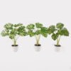Artificial Table Plants 52*46*55cm Monstera in PP pot GS-03325023 2025JUL YeahFlower is one of Chinese leading OEM manufacturers and exporters , supplying the silk flowers, wholesale artificial trees