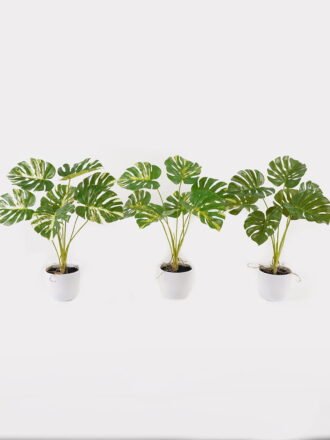 Artificial Flower 22*22*35cm Wild flower in PP pot GS-03325024 2025JUL 3,000+ sqm showroom with thousands of artificial flowers, plants & trees ready for global sourcing.