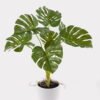 Artificial Table Plants 52*46*55cm Monstera in PP pot GS-03325023 2025JUL YeahFlower is one of Chinese leading OEM manufacturers and exporters , supplying the silk flowers, wholesale artificial trees