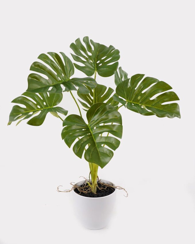 Artificial Table Plants 52*46*55cm Monstera in PP pot GS-03325023 2025JUL YeahFlower is one of Chinese leading OEM manufacturers and exporters , supplying the silk flowers, wholesale artificial trees
