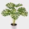 Artificial Table Plants 52*46*55cm Monstera in PP pot GS-03325023 2025JUL YeahFlower is one of Chinese leading OEM manufacturers and exporters , supplying the silk flowers, wholesale artificial trees