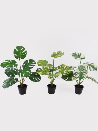 Artificial Table Plants 60*46*50cm Alocasia in PP pot GS-03325034 2025JUL 3,000+ sqm showroom with thousands of artificial flowers, plants & trees ready for global sourcing.