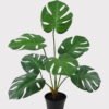 Artificial Table Plants 50*50*57cm Montera in PP pot GS-03325033 2025JUL YeahFlower is one of Chinese leading OEM manufacturers and exporters , supplying the silk flowers, wholesale artificial trees