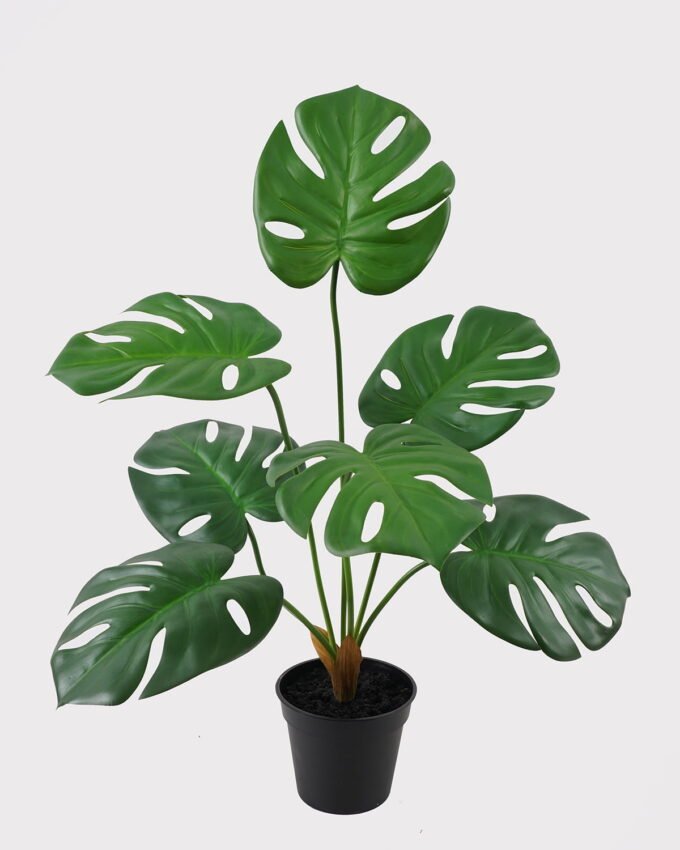 Artificial Table Plants 50*50*57cm Montera in PP pot GS-03325033 2025JUL YeahFlower is one of Chinese leading OEM manufacturers and exporters , supplying the silk flowers, wholesale artificial trees