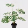 Artificial Table Plants 50*50*57cm Montera in PP pot GS-03325033 2025JUL YeahFlower is one of Chinese leading OEM manufacturers and exporters , supplying the silk flowers, wholesale artificial trees