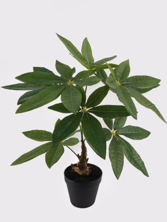 Artificial Table Plants 22*22*50cm Bay leaf in pp pot GS-46725048 2025JUL 3,000+ sqm showroom with thousands of artificial flowers, plants & trees ready for global sourcing.