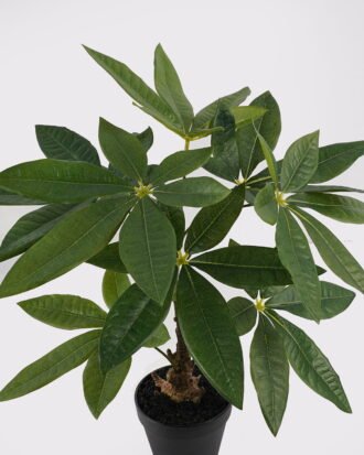 Artificial Table Plants 35*23*52cm Pachira macrocarpa in PP pot GS-46725047 2025JUL YeahFlower is one of Chinese leading OEM manufacturers and exporters , supplying the silk flowers, wholesale artificial trees Artificial Table Plants 35*23*52cm Pachira macrocarpa in PP pot GS-46725047 2025JUL YeahFlower is one of Chinese leading OEM manufacturers and exporters , supplying the silk flowers, wholesale artificial trees