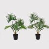 Artificial Table Plants 54*42*55cm Philodendron Schott in PP pot GS-03325030 2025JUL YeahFlower is one of Chinese leading OEM manufacturers and exporters , supplying the silk flowers, wholesale artificial trees