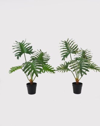 Artificial Table Plants 54*42*55cm Philodendron Schott in PP pot GS-03325030 2025JUL YeahFlower is one of Chinese leading OEM manufacturers and exporters , supplying the silk flowers, wholesale artificial trees Artificial Table Plants 54*42*55cm Philodendron Schott in PP pot GS-03325030 2025JUL YeahFlower is one of Chinese leading OEM manufacturers and exporters , supplying the silk flowers, wholesale artificial trees