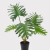 Artificial Table Plants 54*42*55cm Philodendron Schott in PP pot GS-03325030 2025JUL YeahFlower is one of Chinese leading OEM manufacturers and exporters , supplying the silk flowers, wholesale artificial trees