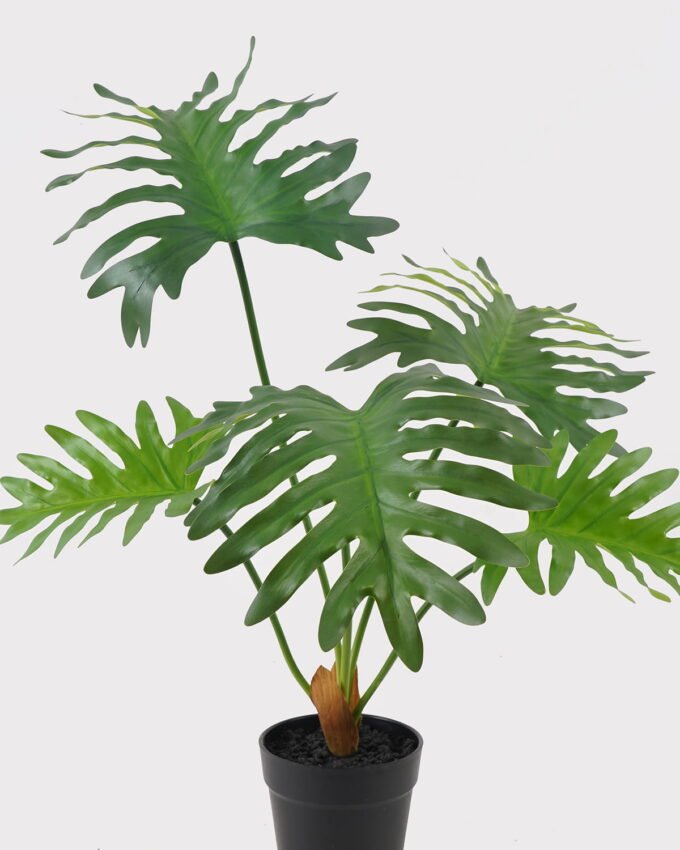 Artificial Table Plants 54*42*55cm Philodendron Schott in PP pot GS-03325030 2025JUL YeahFlower is one of Chinese leading OEM manufacturers and exporters , supplying the silk flowers, wholesale artificial trees