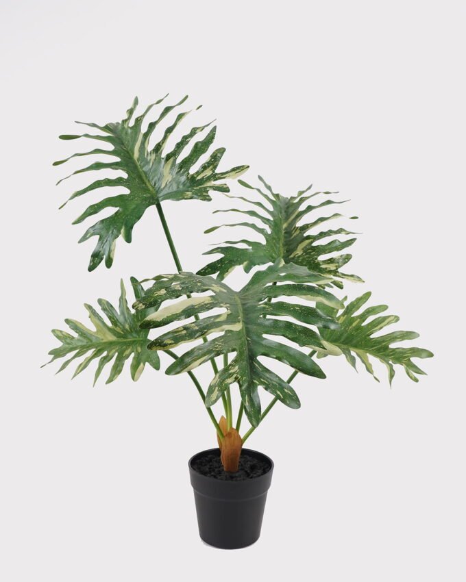 Artificial Table Plants 54*42*55cm Philodendron Schott in PP pot GS-03325030 2025JUL YeahFlower is one of Chinese leading OEM manufacturers and exporters , supplying the silk flowers, wholesale artificial trees