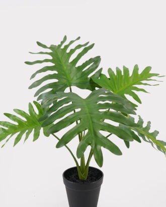 Artificial Table Plants 45*45*40cm Philodendron Schott in PP pot GS-03325031 2025JUL YeahFlower is one of Chinese leading OEM manufacturers and exporters , supplying the silk flowers, wholesale artificial trees Artificial Table Plants 45*45*40cm Philodendron Schott in PP pot GS-03325031 2025JUL YeahFlower is one of Chinese leading OEM manufacturers and exporters , supplying the silk flowers, wholesale artificial trees