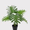 Artificial Table Plants 45*45*40cm Philodendron Schott in PP pot GS-03325031 2025JUL YeahFlower is one of Chinese leading OEM manufacturers and exporters , supplying the silk flowers, wholesale artificial trees