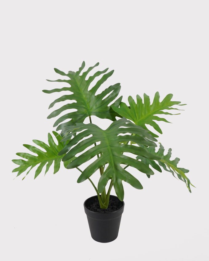 Artificial Table Plants 45*45*40cm Philodendron Schott in PP pot GS-03325031 2025JUL YeahFlower is one of Chinese leading OEM manufacturers and exporters , supplying the silk flowers, wholesale artificial trees