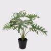 Artificial Table Plants 45*45*40cm Philodendron Schott in PP pot GS-03325031 2025JUL YeahFlower is one of Chinese leading OEM manufacturers and exporters , supplying the silk flowers, wholesale artificial trees