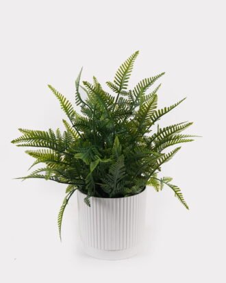 Artificial Table Plants 29*29*34cm Pteridophyte in PP pot GS-79925011 2025SEP YeahFlower is one of Chinese leading OEM manufacturers and exporters , supplying the silk flowers, wholesale artificial trees Artificial Table Plants 29*29*34cm Pteridophyte in PP pot GS-79925011 2025SEP YeahFlower is one of Chinese leading OEM manufacturers and exporters , supplying the silk flowers, wholesale artificial trees