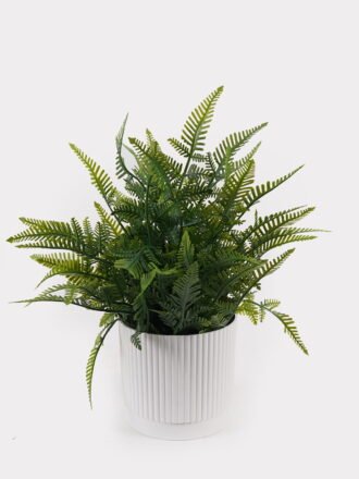 Artificial Table Plants 28*28*34cm Pteridophyte in  PP pot GS-79925012 2025SEP 3,000+ sqm showroom with thousands of artificial flowers, plants & trees ready for global sourcing.