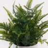Artificial Table Plants Pteridophyte in PP pot GS-79925011_3 Artificial Table Plants 29*29*34cm Pteridophyte in PP pot GS-79925011 2025SEP YeahFlower is one of Chinese leading OEM manufacturers and exporters , supplying the silk flowers, wholesale artificial trees