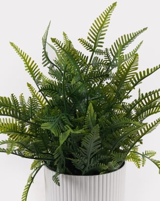 Artificial Table Plants 29*29*34cm Pteridophyte in PP pot GS-79925011 2025SEP YeahFlower is one of Chinese leading OEM manufacturers and exporters , supplying the silk flowers, wholesale artificial trees Artificial Table Plants 29*29*34cm Pteridophyte in PP pot GS-79925011 2025SEP YeahFlower is one of Chinese leading OEM manufacturers and exporters , supplying the silk flowers, wholesale artificial trees