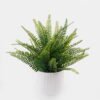 Artificial Table Plants 28*28*34cm Pteridophyte in  PP pot GS-79925012 2025SEP YeahFlower is one of Chinese leading OEM manufacturers and exporters , supplying the silk flowers, wholesale artificial trees