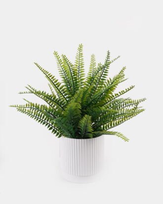 Artificial Table Plants 28*28*34cm Pteridophyte in PP pot GS-79925012 2025SEP YeahFlower is one of Chinese leading OEM manufacturers and exporters , supplying the silk flowers, wholesale artificial trees Artificial Table Plants 28*28*34cm Pteridophyte in PP pot GS-79925012 2025SEP YeahFlower is one of Chinese leading OEM manufacturers and exporters , supplying the silk flowers, wholesale artificial trees